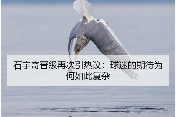 石宇奇晋级再次引热议：球迷的期待为何如此复杂